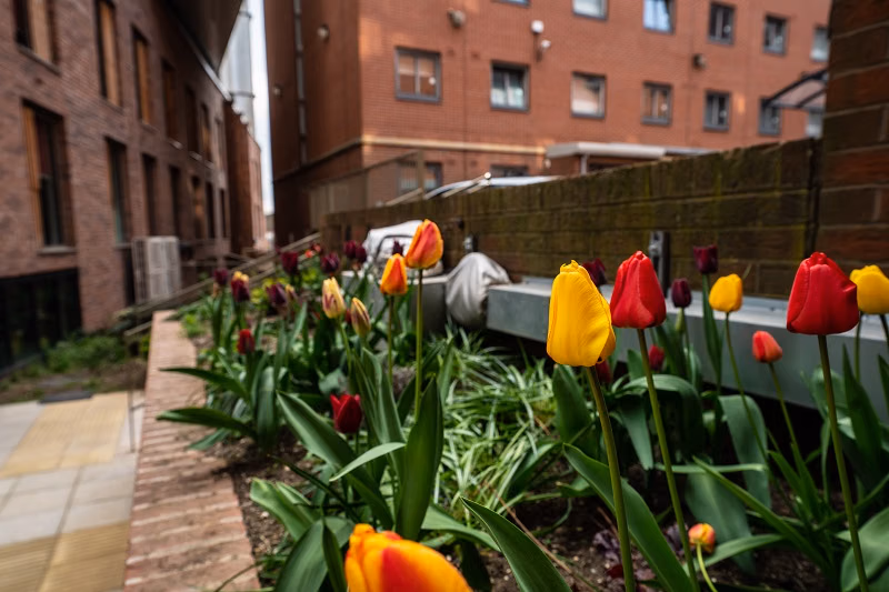 Paradise Student Village, Coventry - Coventry, England, United Kingdom - Exterior