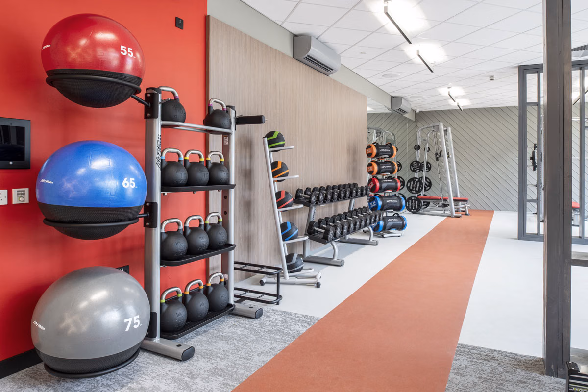 Luna, Hatfield - Hatfield, England, United Kingdom - Amenities