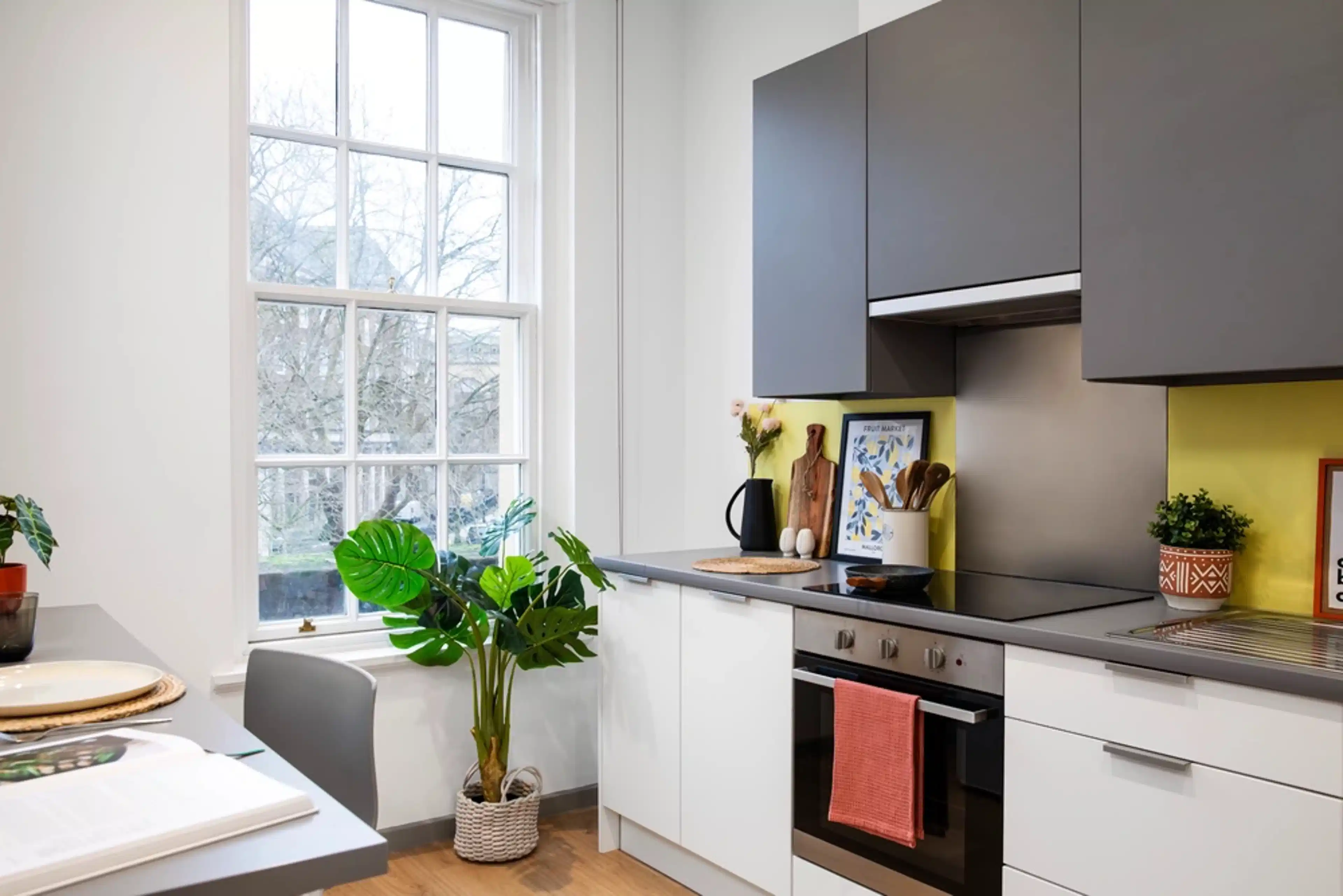 Kitchen?w=400&h=260&fit=crop&q=40&auto=format&trim=auto