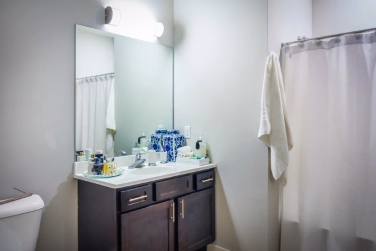 305 E. Daniel, Champaign - Champaign, Illinois, United States - Bathroom