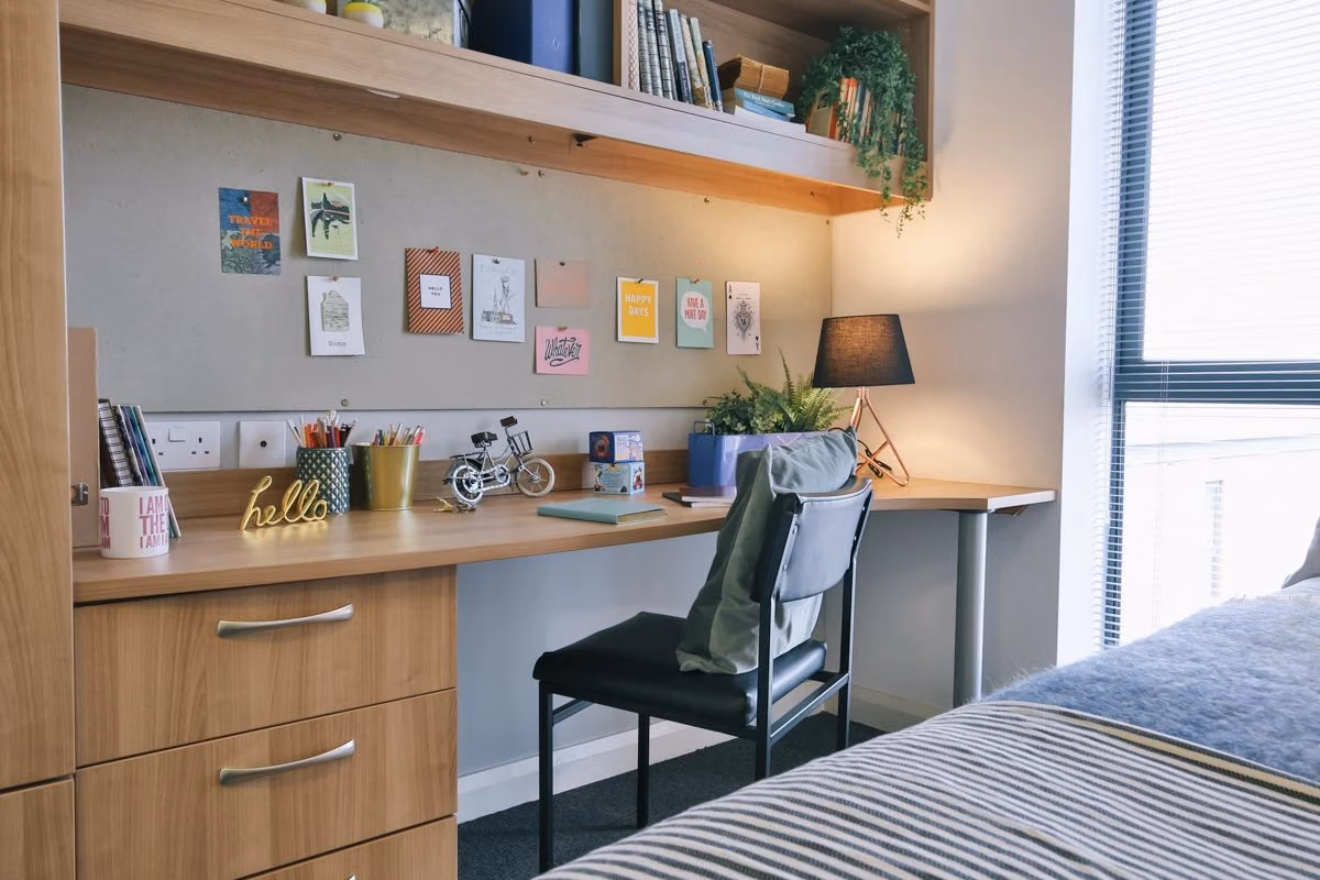 Applegate Place, Leicester  - Leicester, England, United Kingdom - Classic Shared Apartment - Bedroom