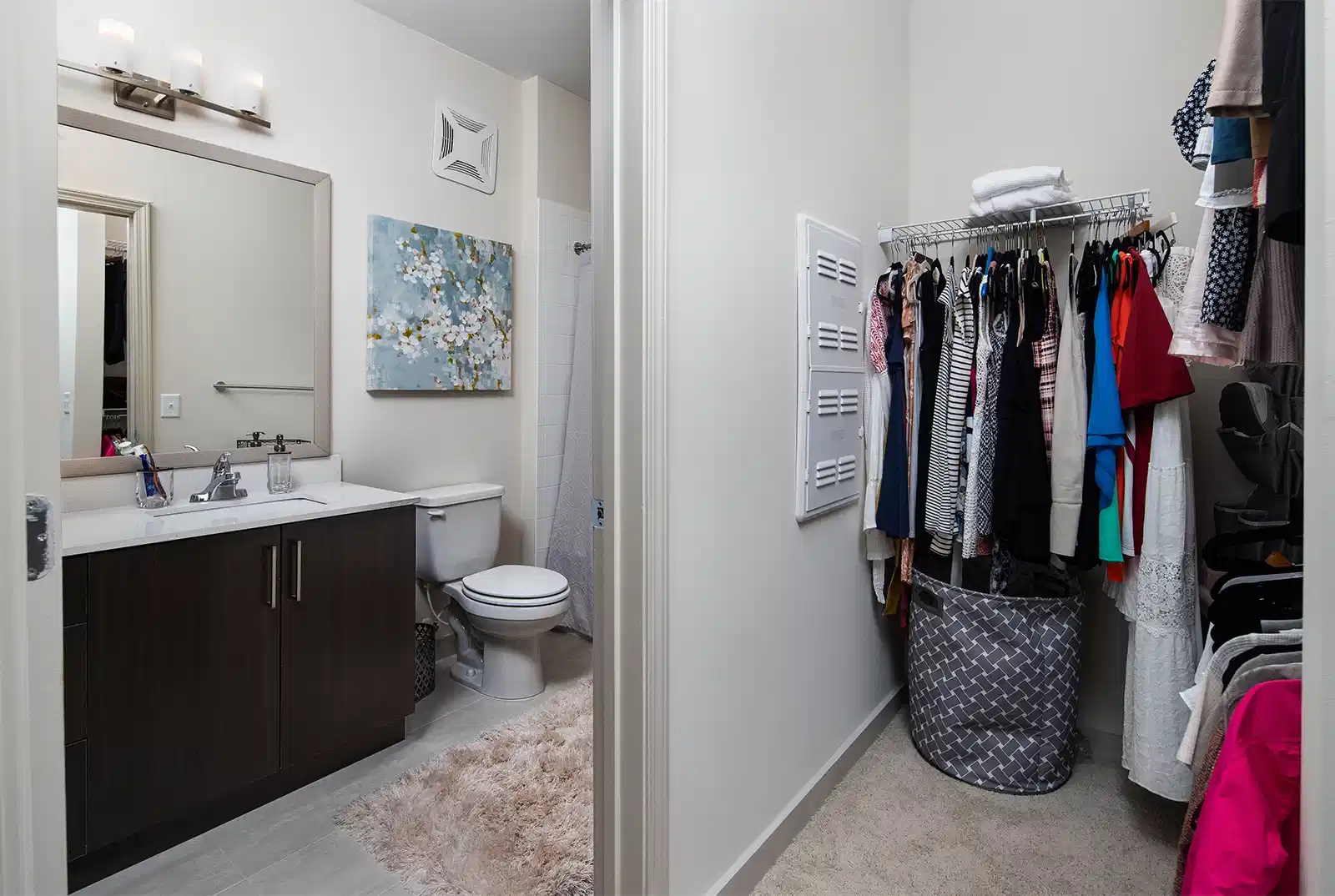 Traditions 50, Tuscaloosa - Tuscaloosa, Alabama, United States - Bathroom
