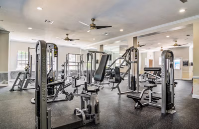The Collective, Auburn - Auburn, Alabama, United States - Amenities